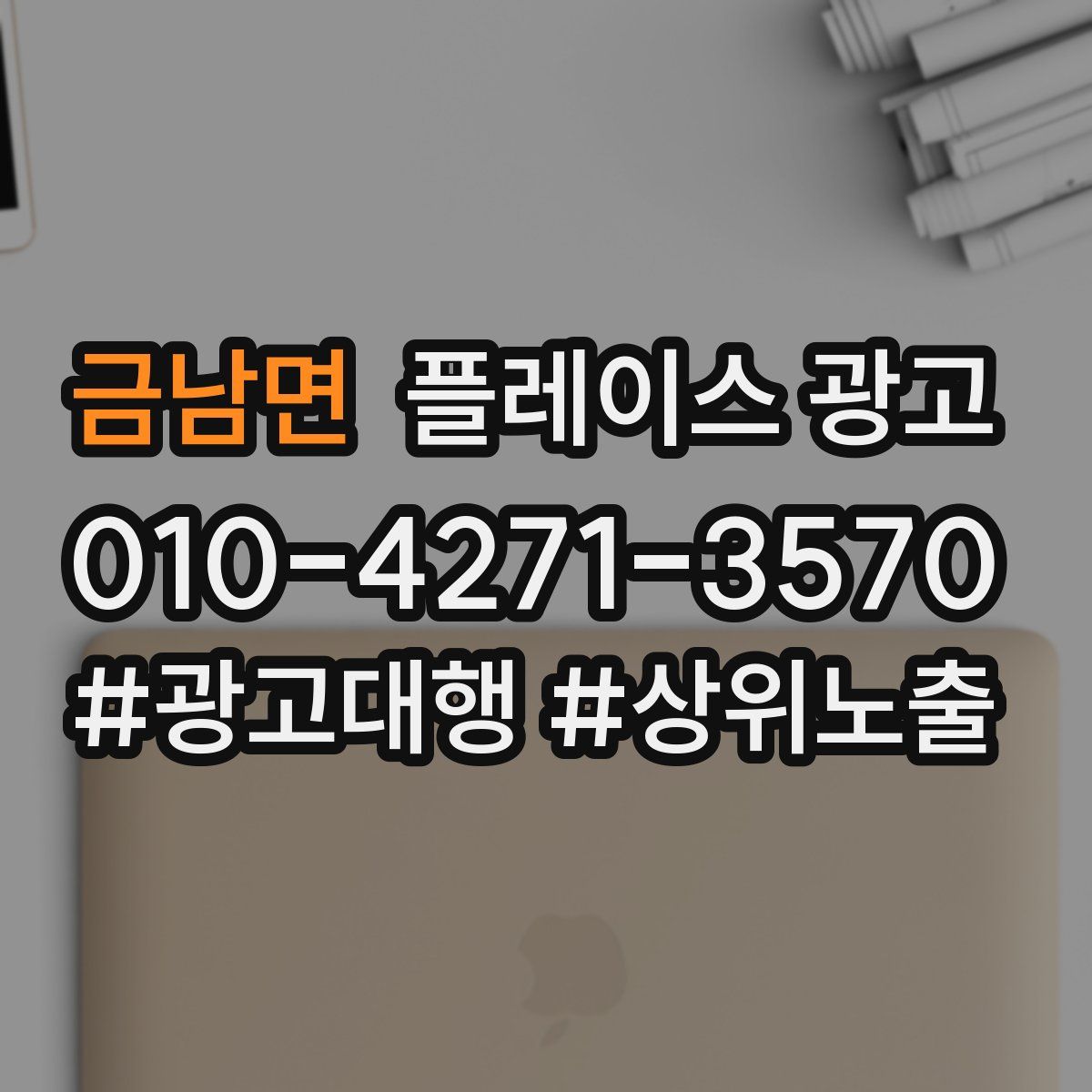 금남면 플레이스 광고