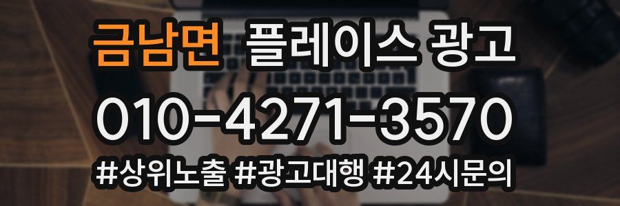 금남면 플레이스 광고