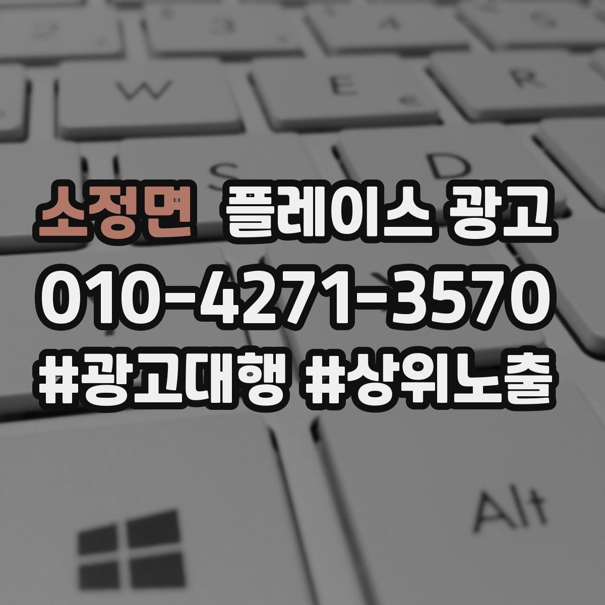 소정면 플레이스 광고