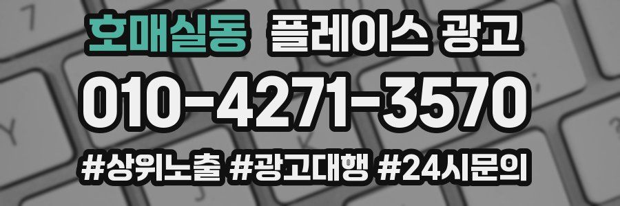 호매실동 플레이스 광고