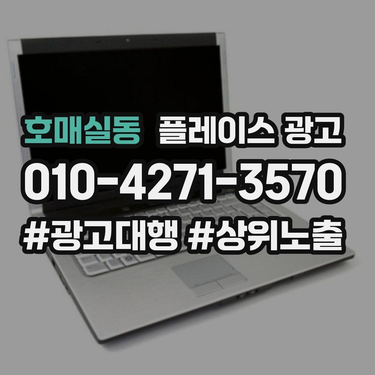 호매실동 플레이스 광고