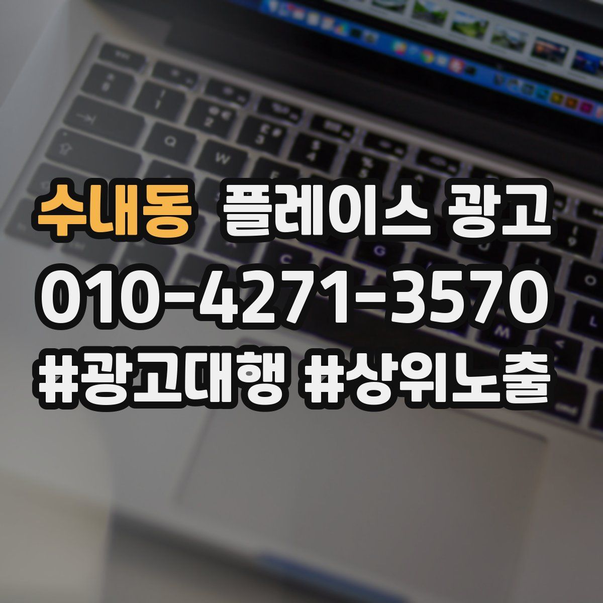 수내동 플레이스 광고