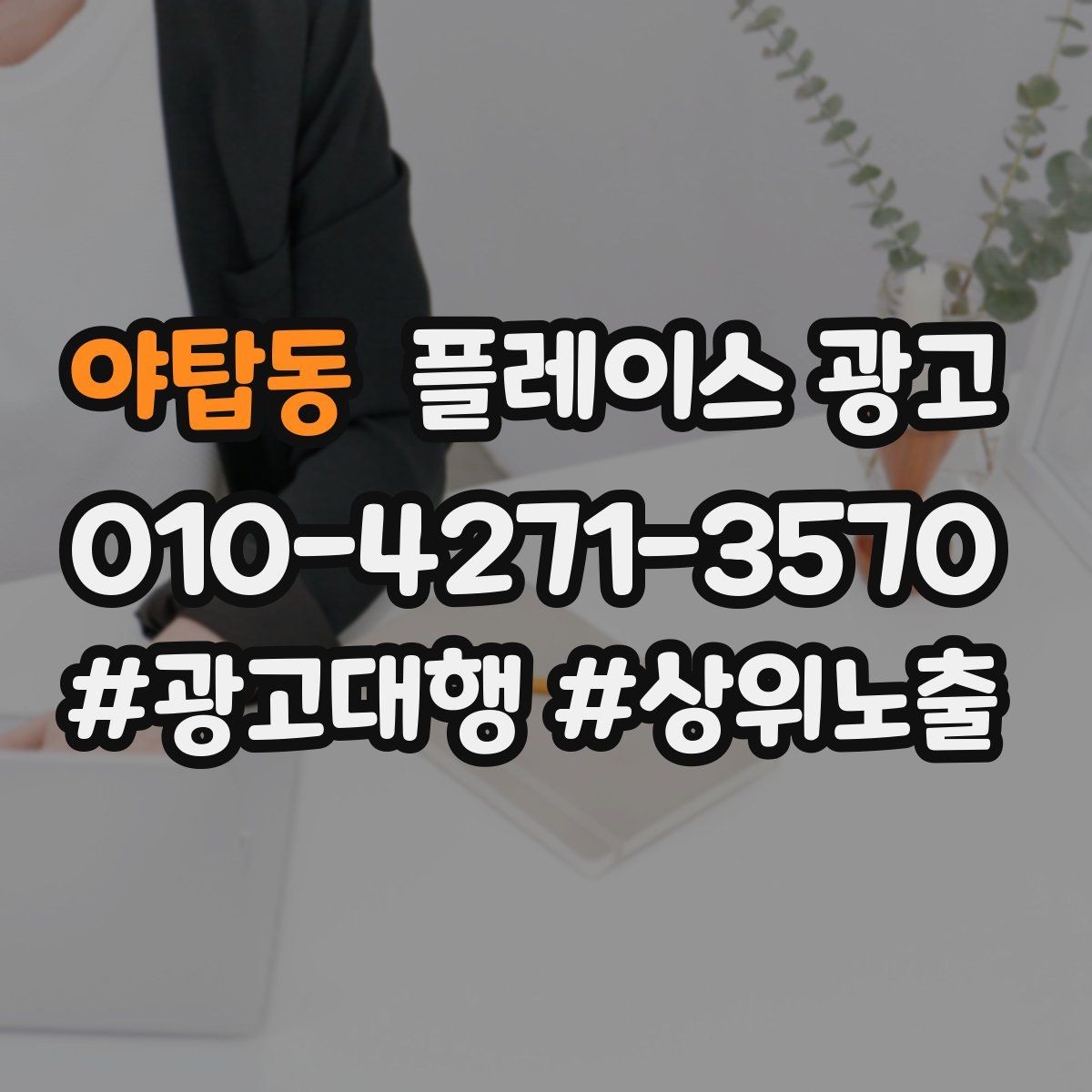 야탑동 플레이스 광고 가격 검색에 대응하는 정보 배치