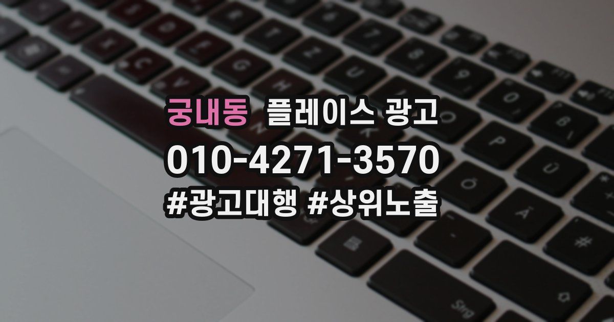 궁내동 플레이스 광고