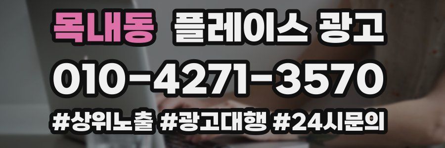 목내동 플레이스 광고