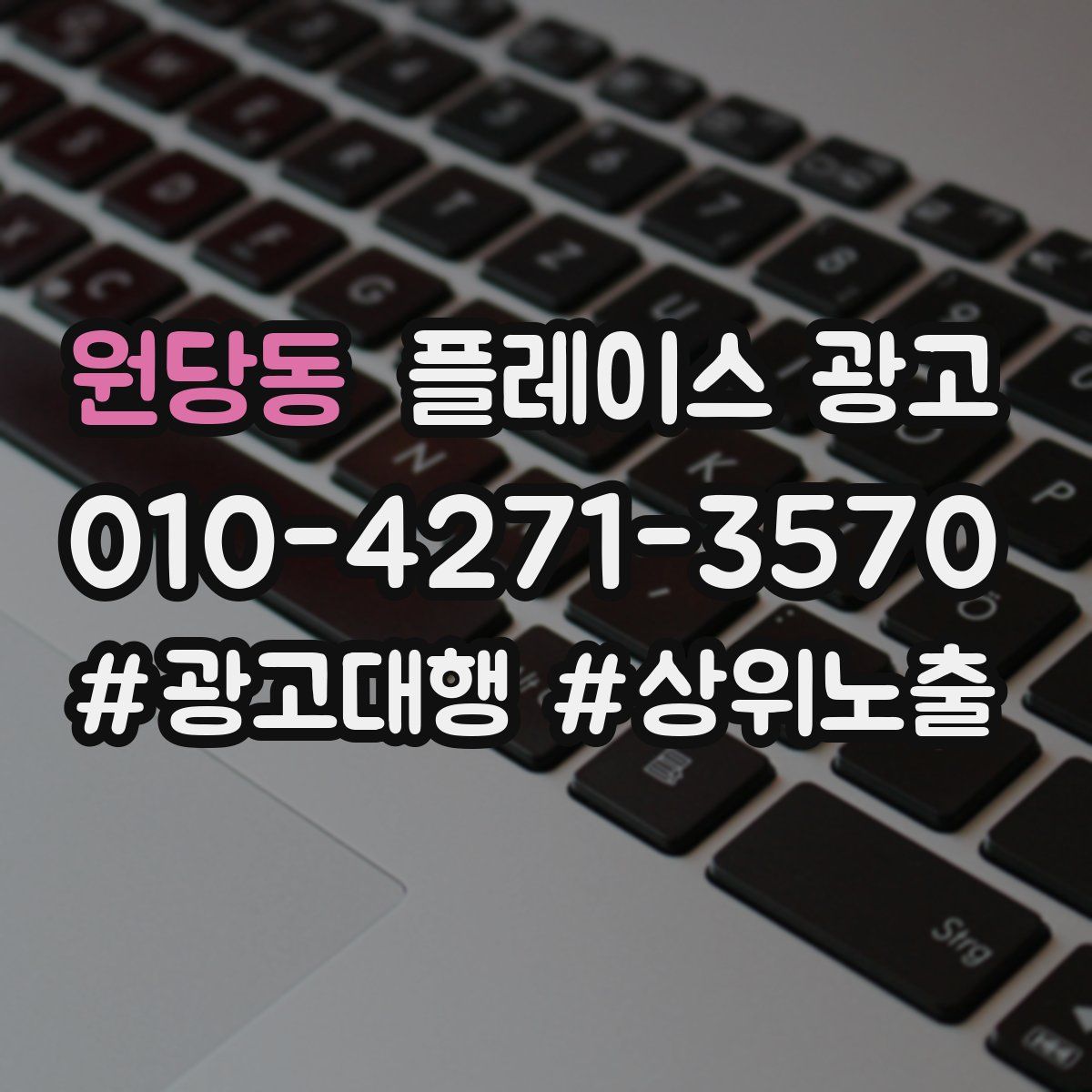 원당동 플레이스 광고