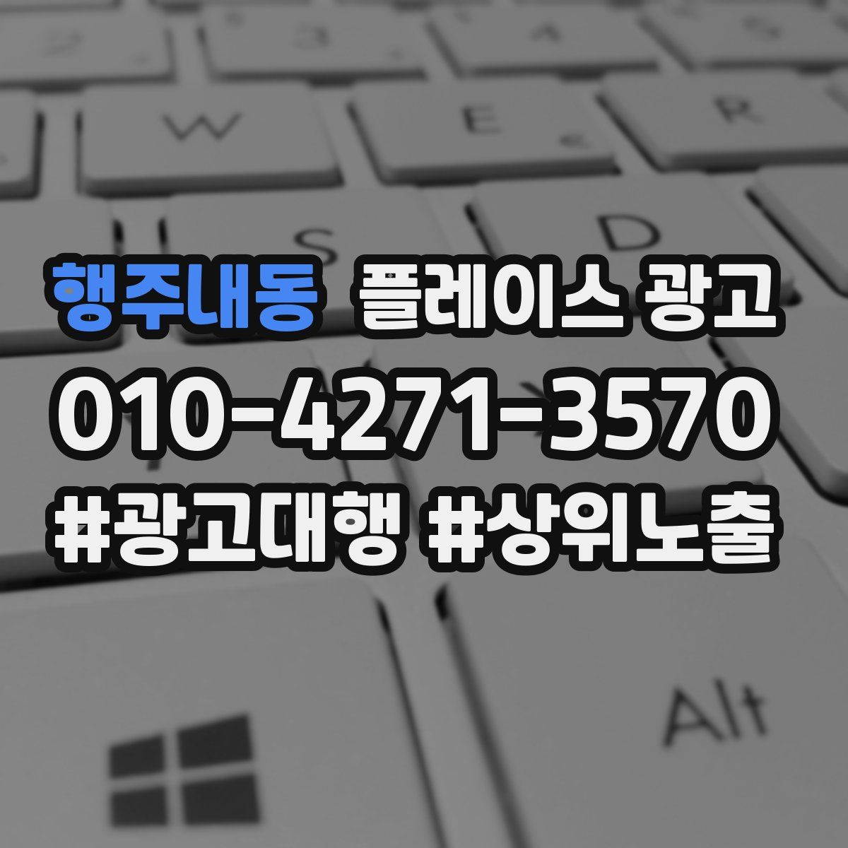 행주내동 플레이스 광고