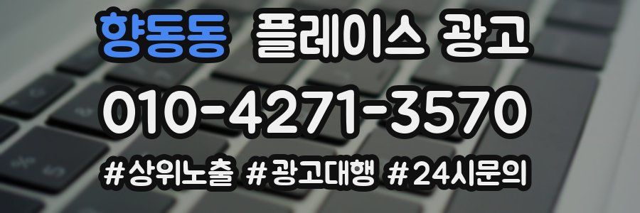향동동 플레이스 광고