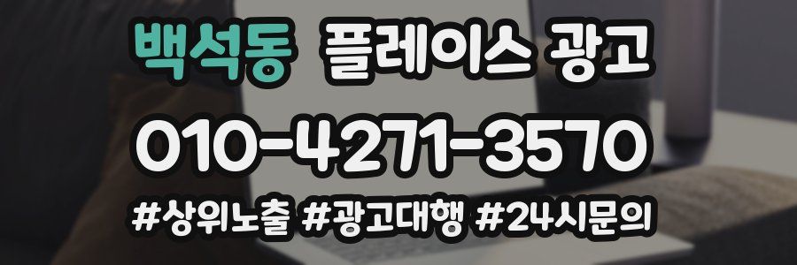 백석동 플레이스 광고