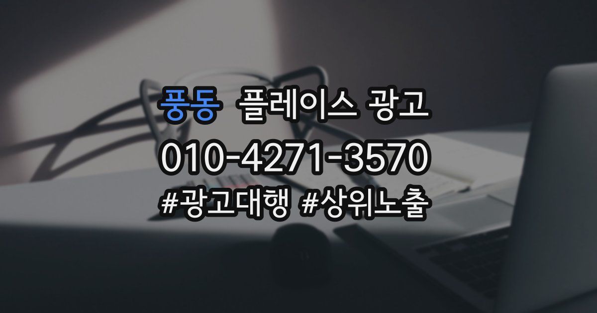 풍동 플레이스 광고
