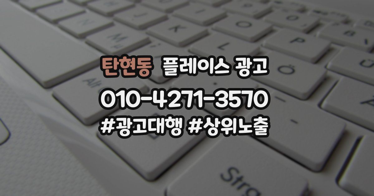 탄현동 플레이스 광고