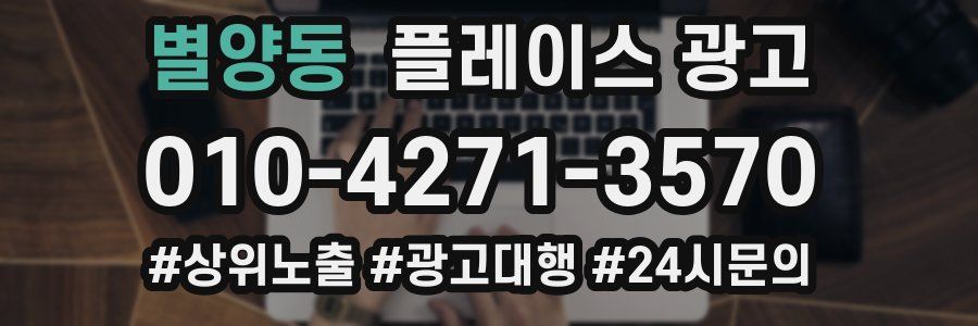 별양동 플레이스 광고