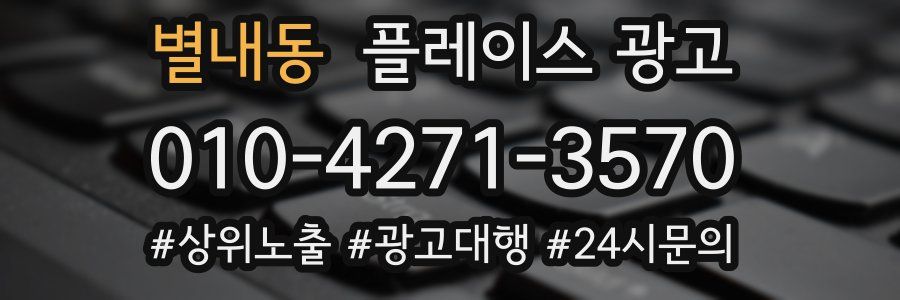 별내동 플레이스 광고
