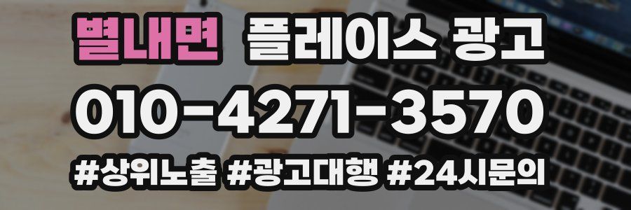 별내면 플레이스 광고