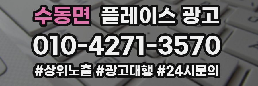 수동면 플레이스 광고