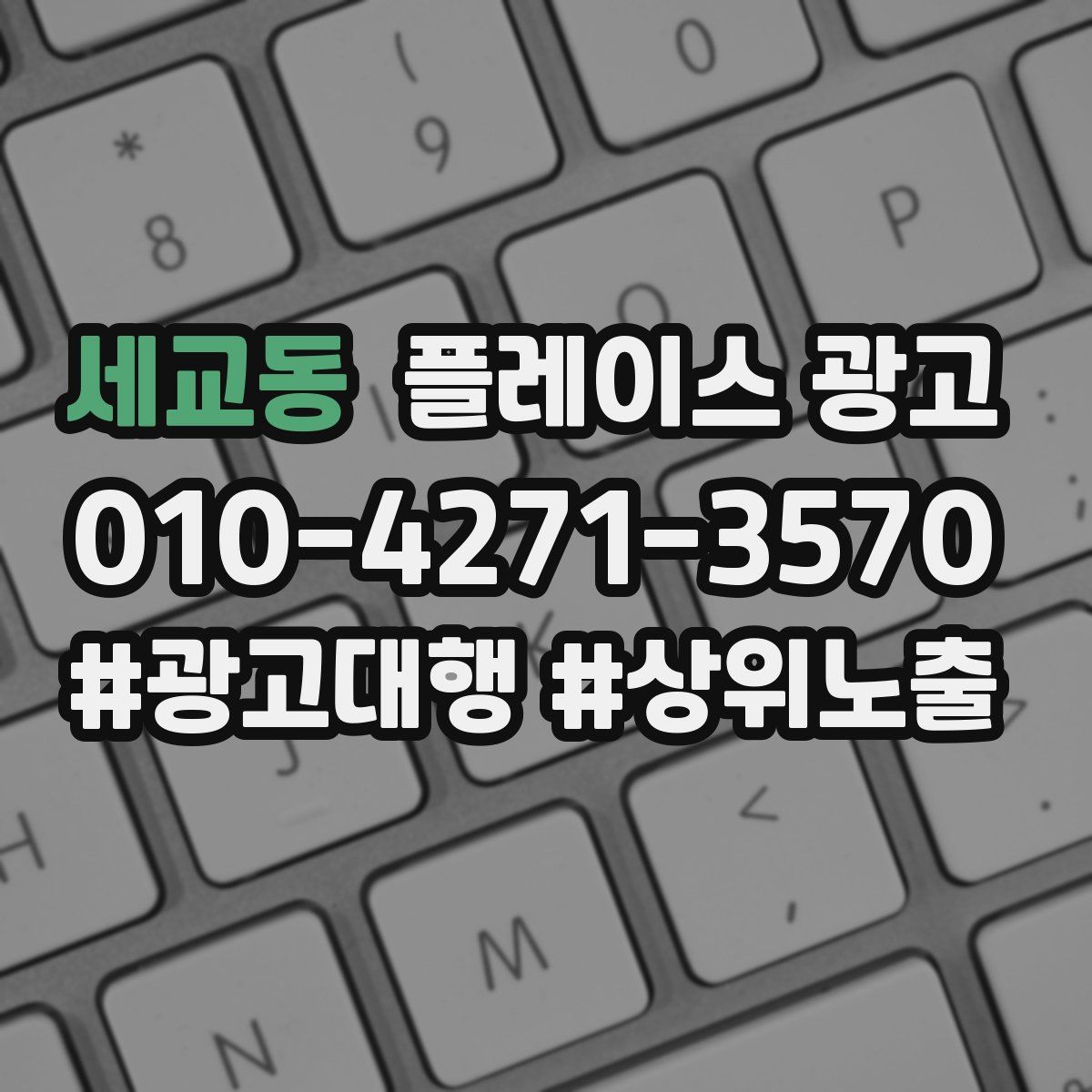 세교동 플레이스 광고