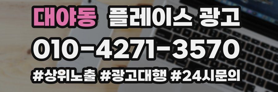 대야동 플레이스 광고