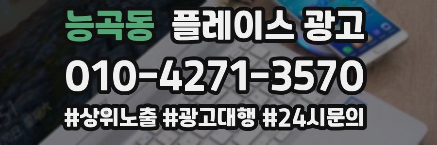능곡동 플레이스 광고