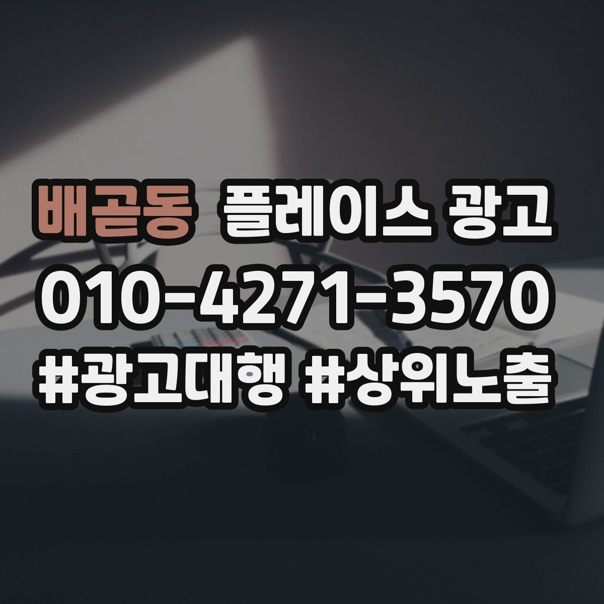 배곧동 플레이스 광고