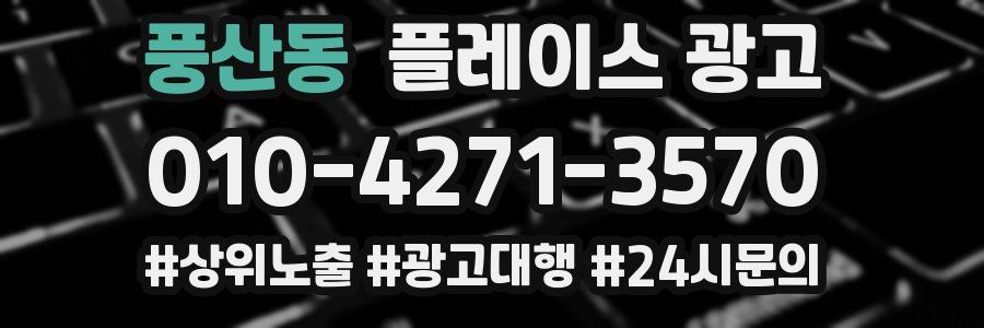 풍산동 플레이스 광고