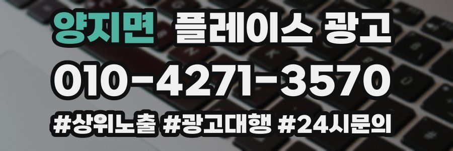 양지면 플레이스 광고