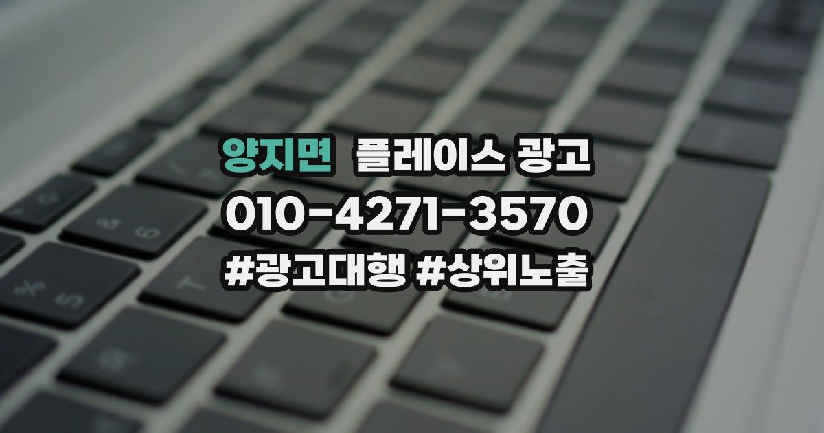 양지면 플레이스 광고