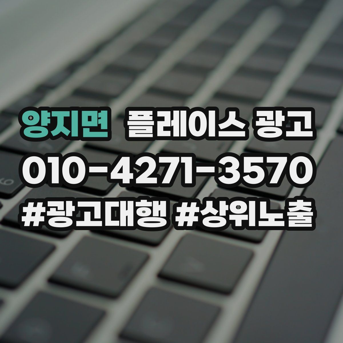 양지면 플레이스 광고