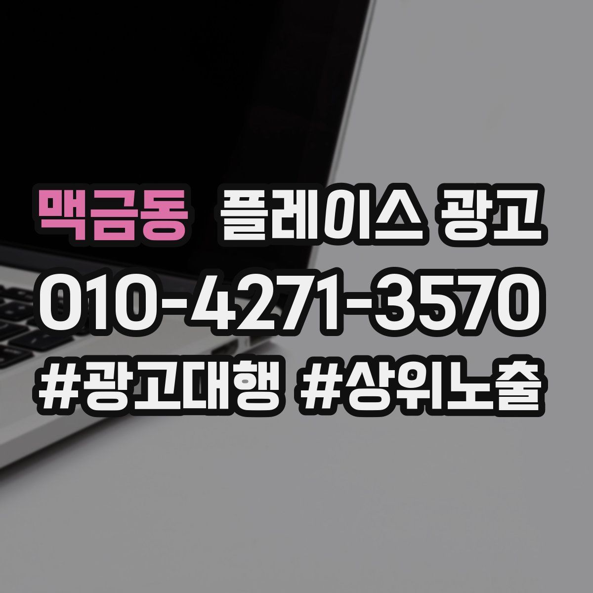맥금동 플레이스 광고