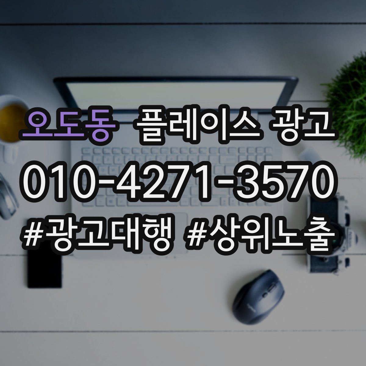오도동 플레이스 광고