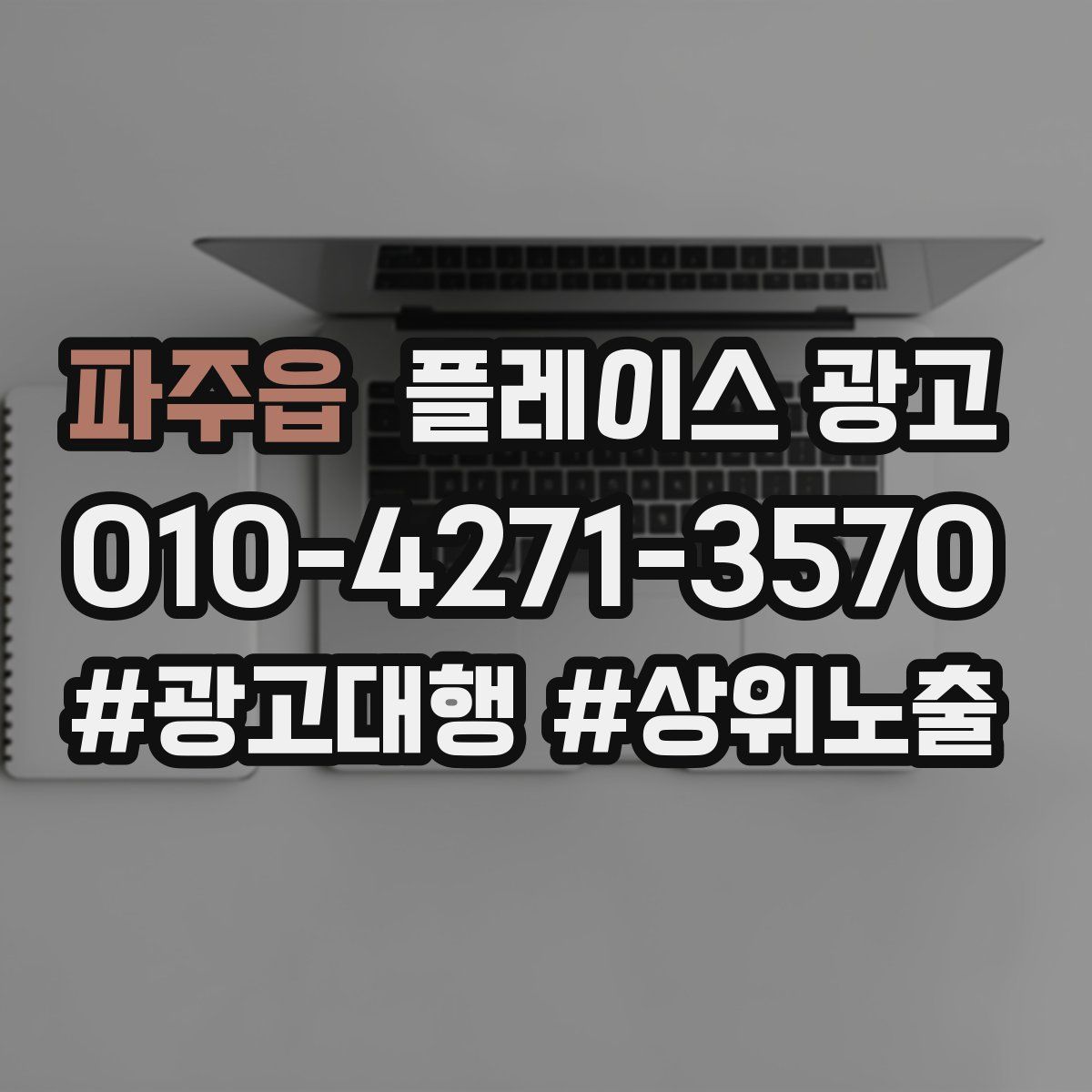 파주읍 플레이스 광고