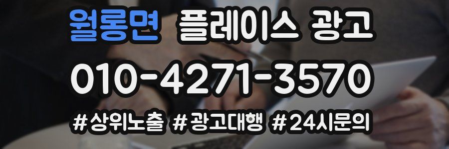 월롱면 플레이스 광고