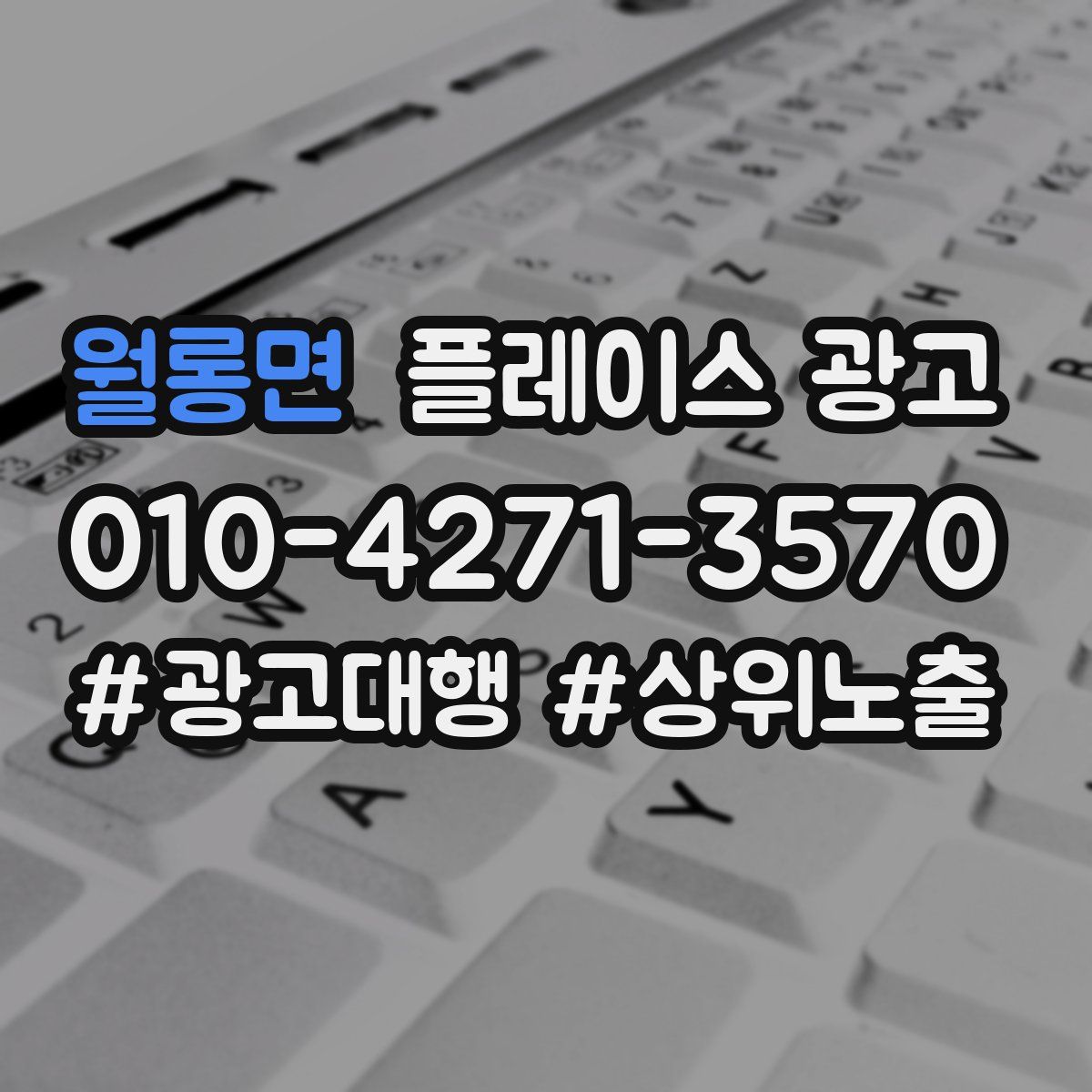 월롱면 플레이스 광고