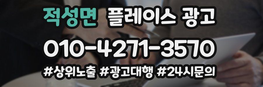 적성면 플레이스 광고