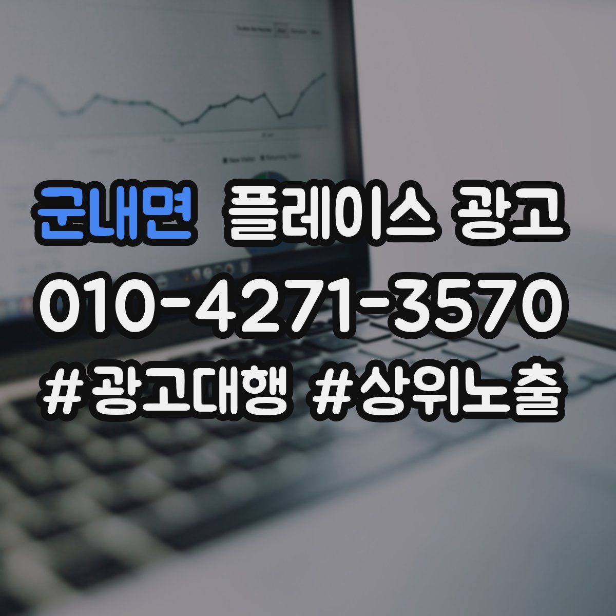 군내면 플레이스 광고