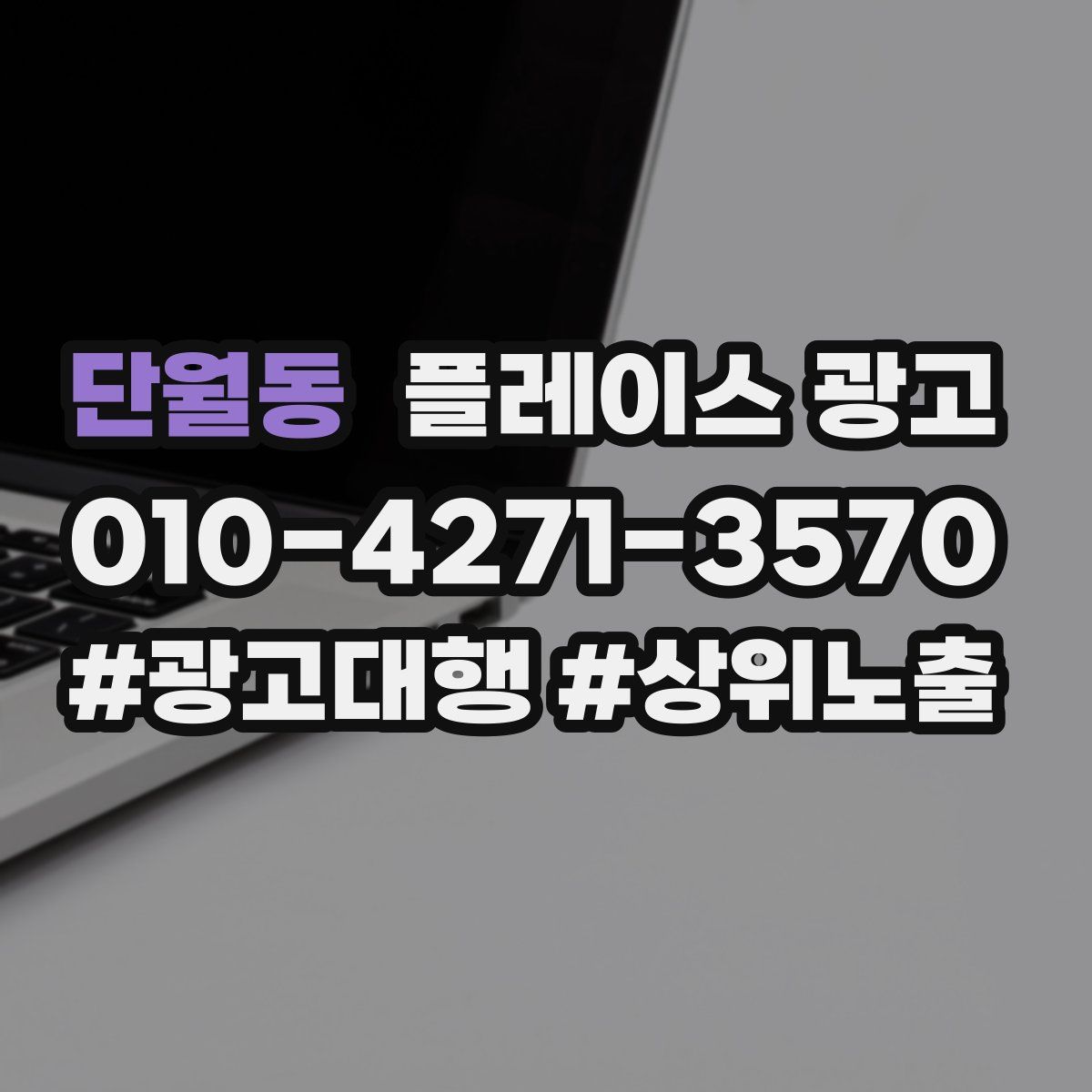 단월동 플레이스 광고
