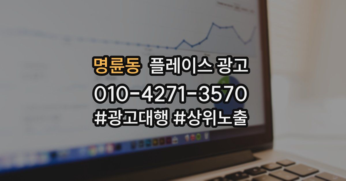명륜동 플레이스 광고