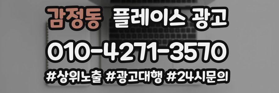 감정동 플레이스 광고