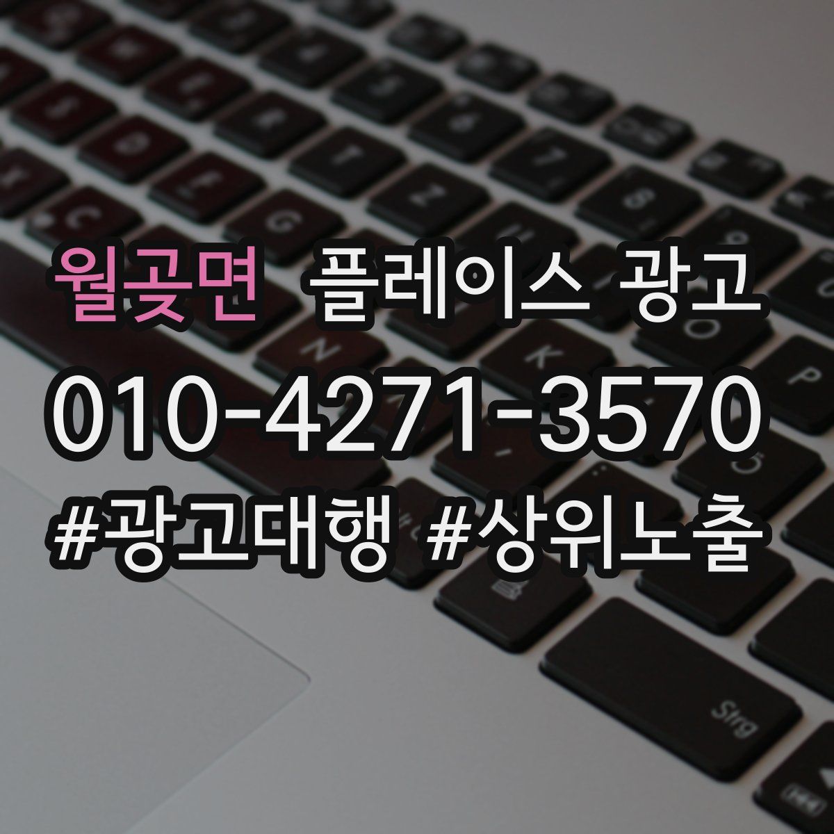 월곶면 플레이스 광고
