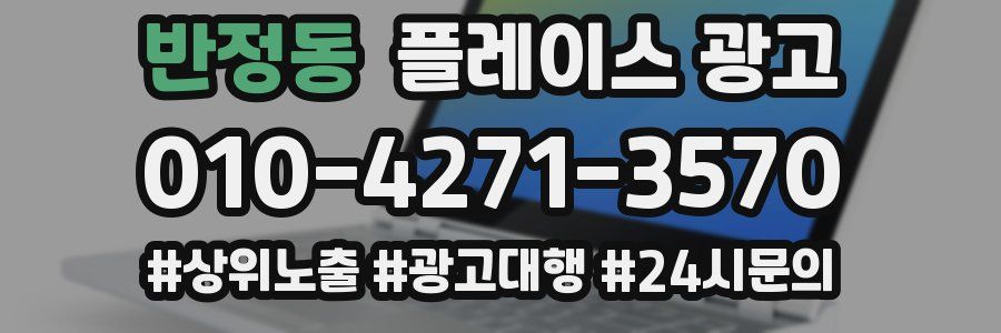 반정동 플레이스 광고