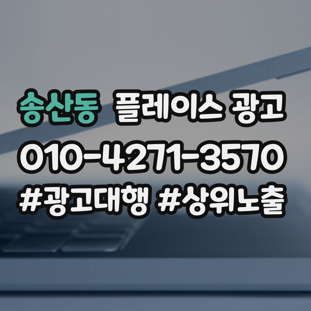 송산동 플레이스 광고