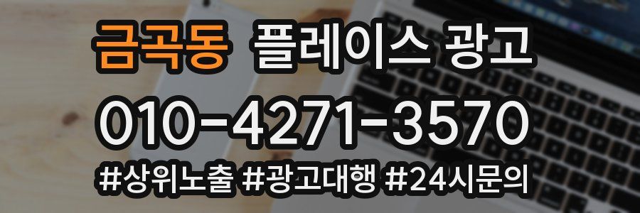 금곡동 플레이스 광고