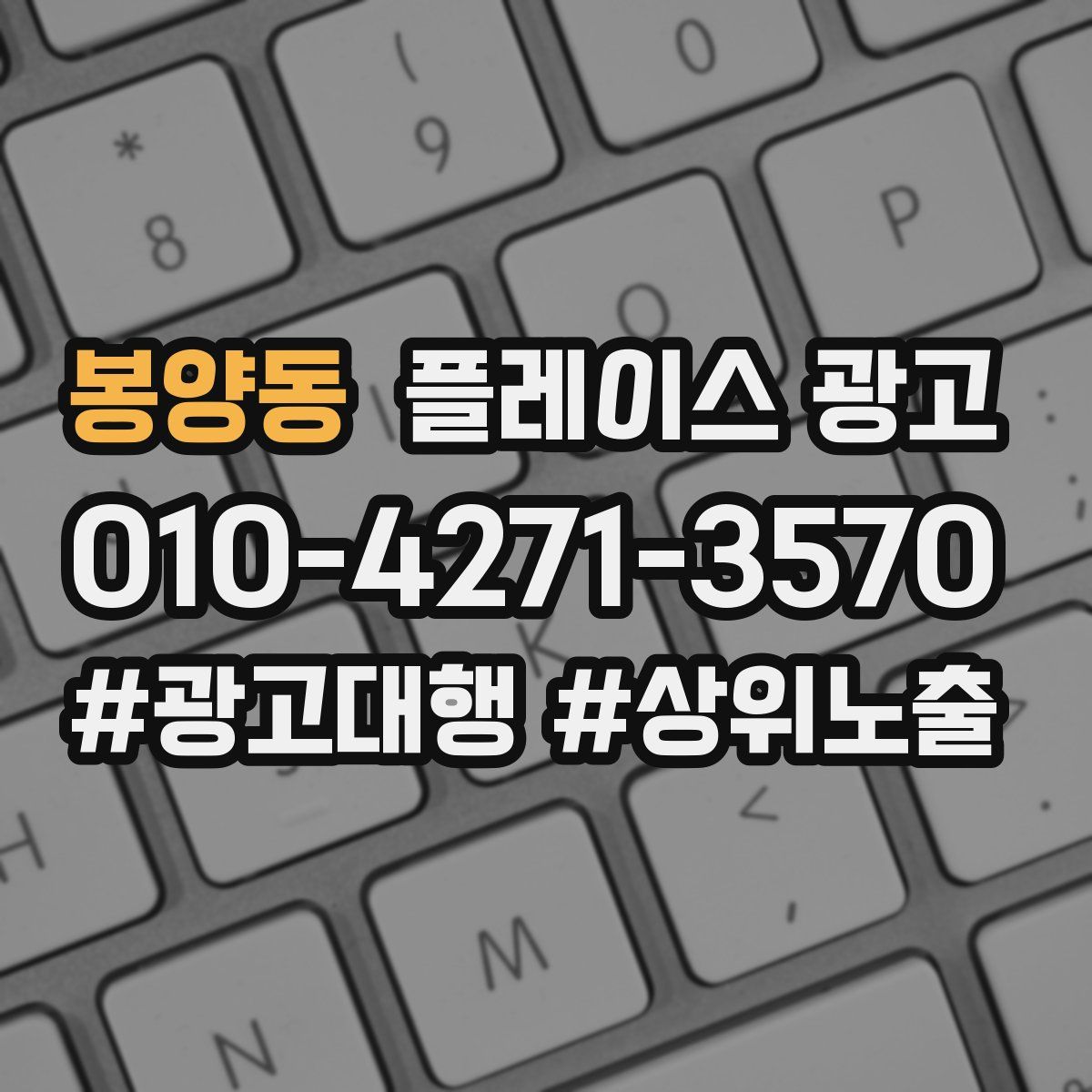 봉양동 플레이스 광고