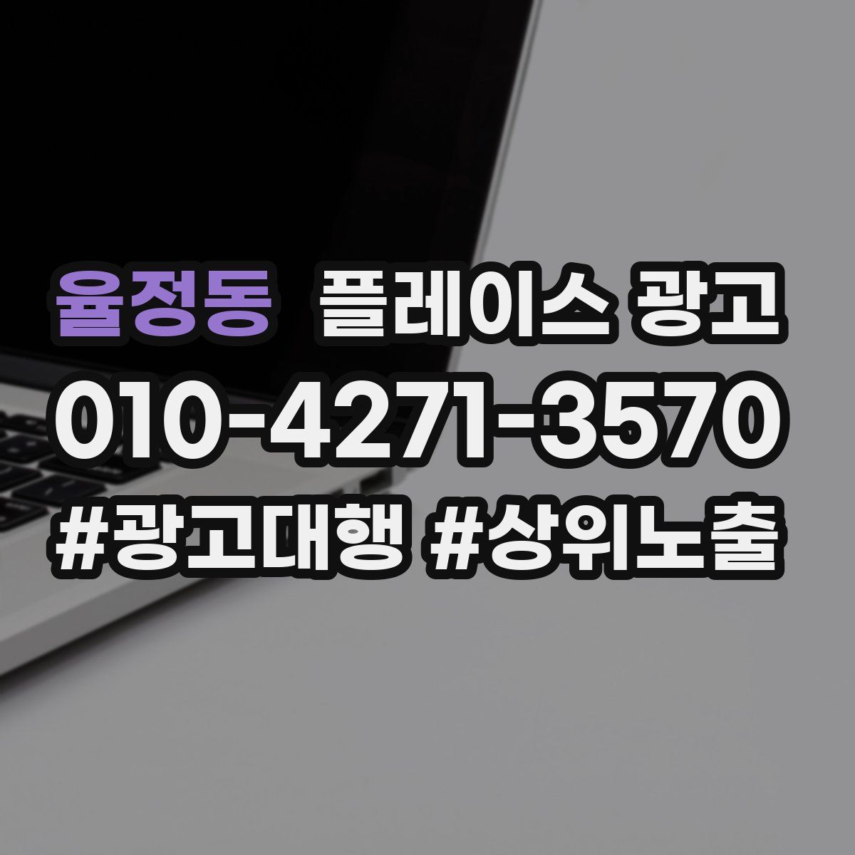 율정동 플레이스 광고
