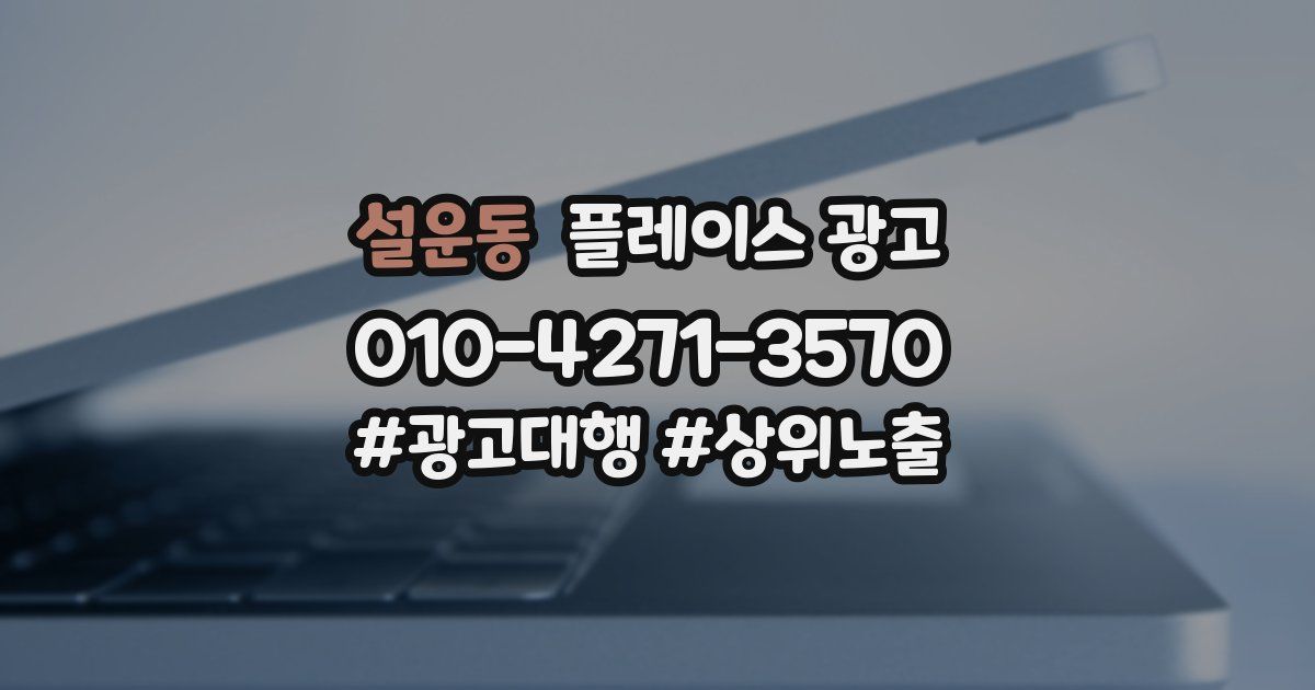 설운동 플레이스 광고