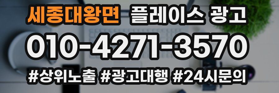 세종대왕면 플레이스 광고