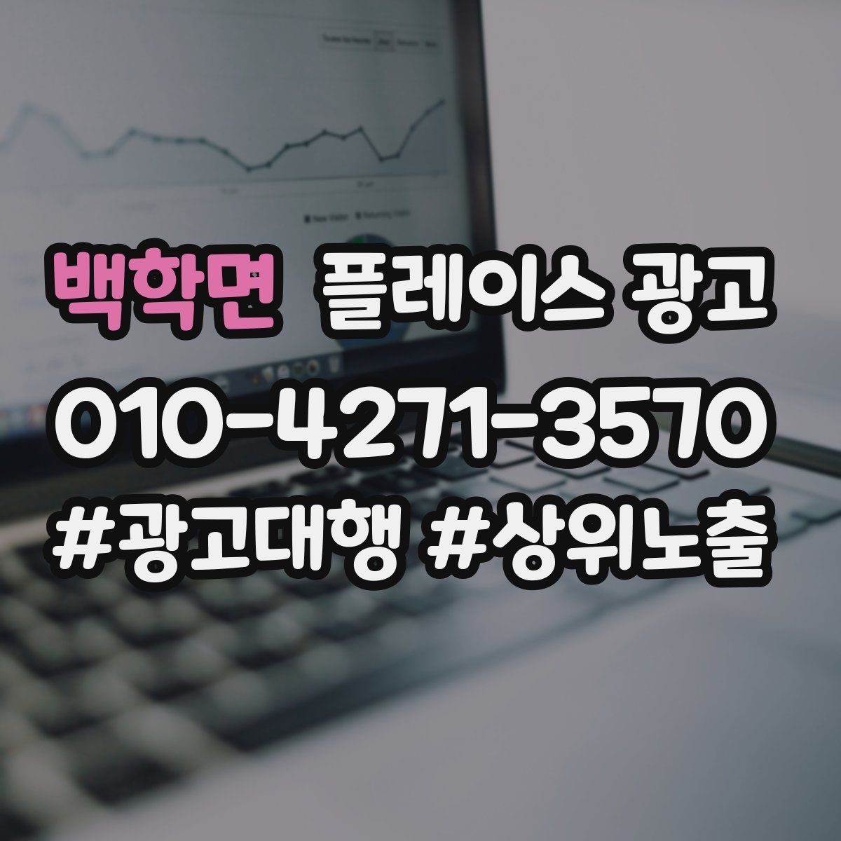 백학면 플레이스 광고