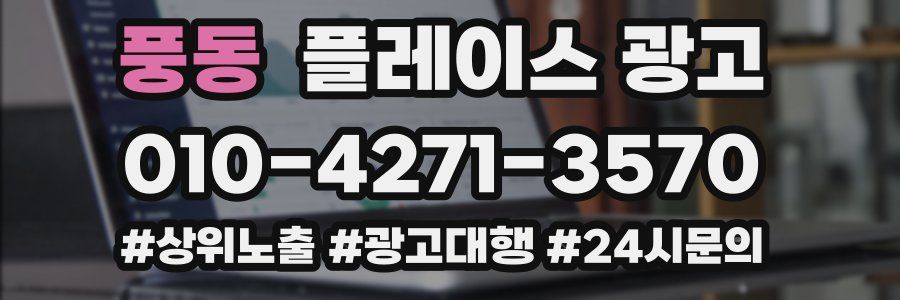 풍동 플레이스 광고