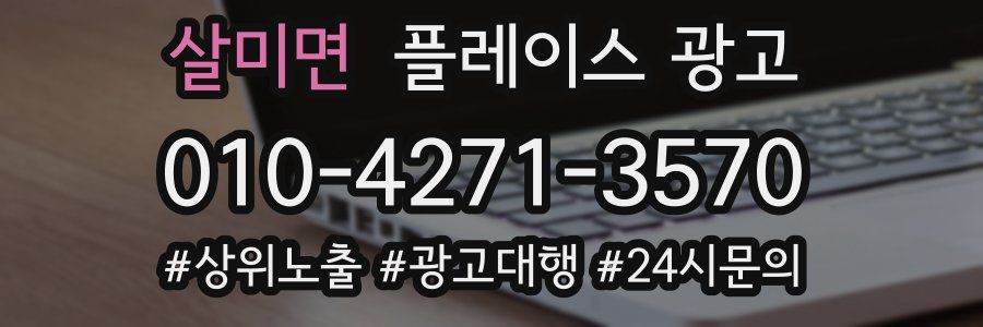 살미면 플레이스 광고