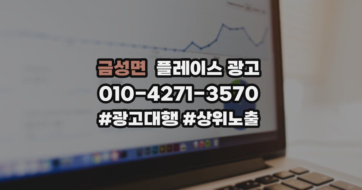 금성면 플레이스 광고