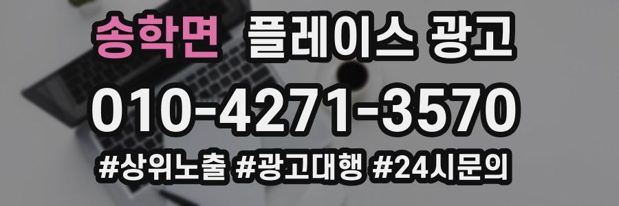 송학면 플레이스 광고